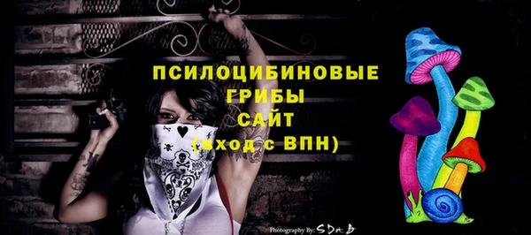 стаф Михайловка