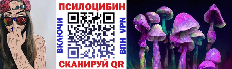 Галлюциногенные грибы Psilocybe  ОМГ ОМГ tor  Александровское 