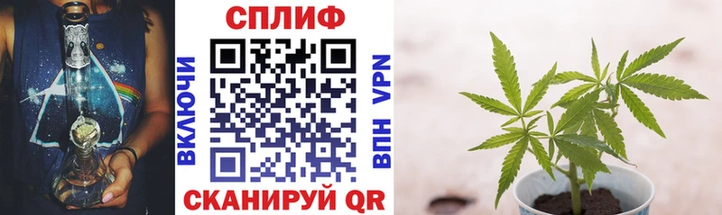 hydra ТОР  дарнет шоп  Александровское  Канабис Bruce Banner 